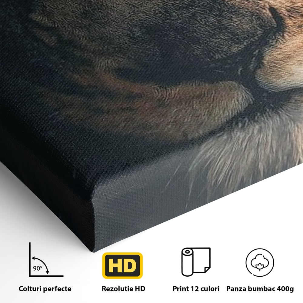 Tablou Canvas Premium, LuxCanva® M1365, Putere Ascunsa, Privire, Mister, Destin, Dominare, Forta, Leu, Stapan, Glorios, Maret, Nobil, Apa, Birou, Living, Camera Copil