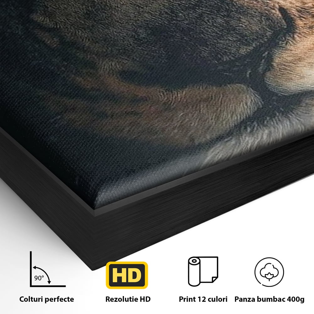 Tablou Canvas Premium, LuxCanva® M1365, Putere Ascunsa, Privire, Mister, Destin, Dominare, Forta, Leu, Stapan, Glorios, Maret, Nobil, Apa, Birou, Living, Camera Copil