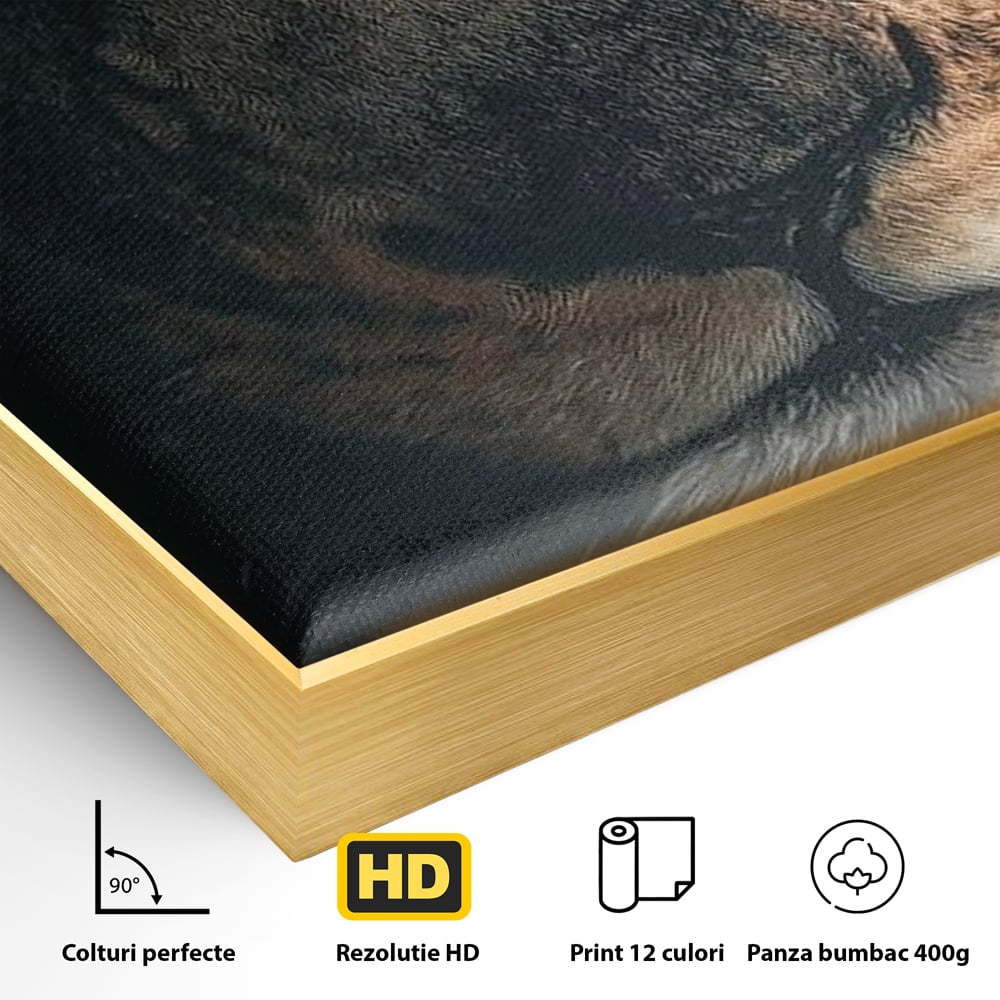 Tablou Canvas Premium, LuxCanva® M1365, Putere Ascunsa, Privire, Mister, Destin, Dominare, Forta, Leu, Stapan, Glorios, Maret, Nobil, Apa, Birou, Living, Camera Copil