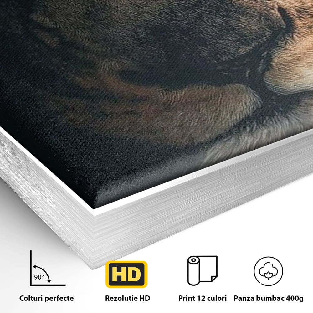 Tablou Canvas Premium, LuxCanva® M1365, Putere Ascunsa, Privire, Mister, Destin, Dominare, Forta, Leu, Stapan, Glorios, Maret, Nobil, Apa, Birou, Living, Camera Copil