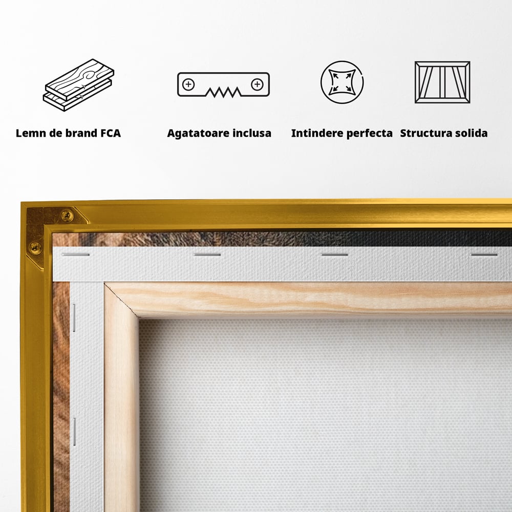 Tablou Canvas Premium, LuxCanva® M1365, Putere Ascunsa, Privire, Mister, Destin, Dominare, Forta, Leu, Stapan, Glorios, Maret, Nobil, Apa, Birou, Living, Camera Copil