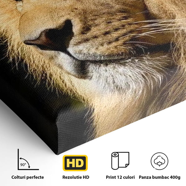 Tablou Canvas Premium, LuxCanva® M1367, Farmec Imperial, Leu, Animal, Rege, Maretie, Intelepciune, Forta, Lumina, Profil, Portret, Viziune, Respect, Birou, Living, Camera Copil