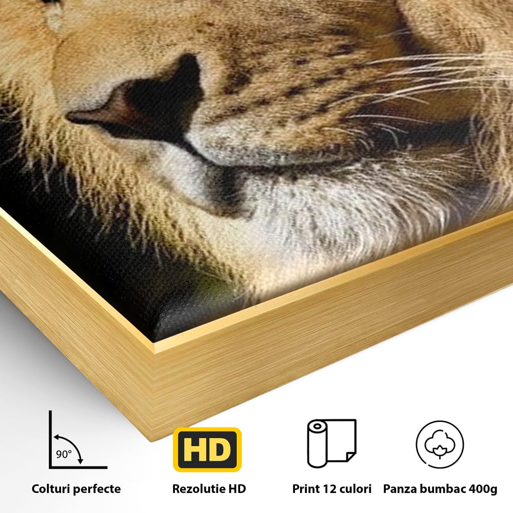 Tablou Canvas Premium, LuxCanva® M1367, Farmec Imperial, Leu, Animal, Rege, Maretie, Intelepciune, Forta, Lumina, Profil, Portret, Viziune, Respect, Birou, Living, Camera Copil