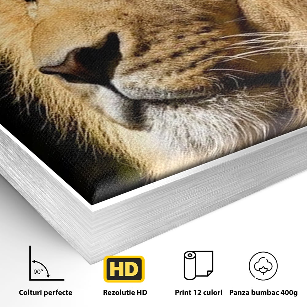 Tablou Canvas Premium, LuxCanva® M1367, Farmec Imperial, Leu, Animal, Rege, Maretie, Intelepciune, Forta, Lumina, Profil, Portret, Viziune, Respect, Birou, Living, Camera Copil