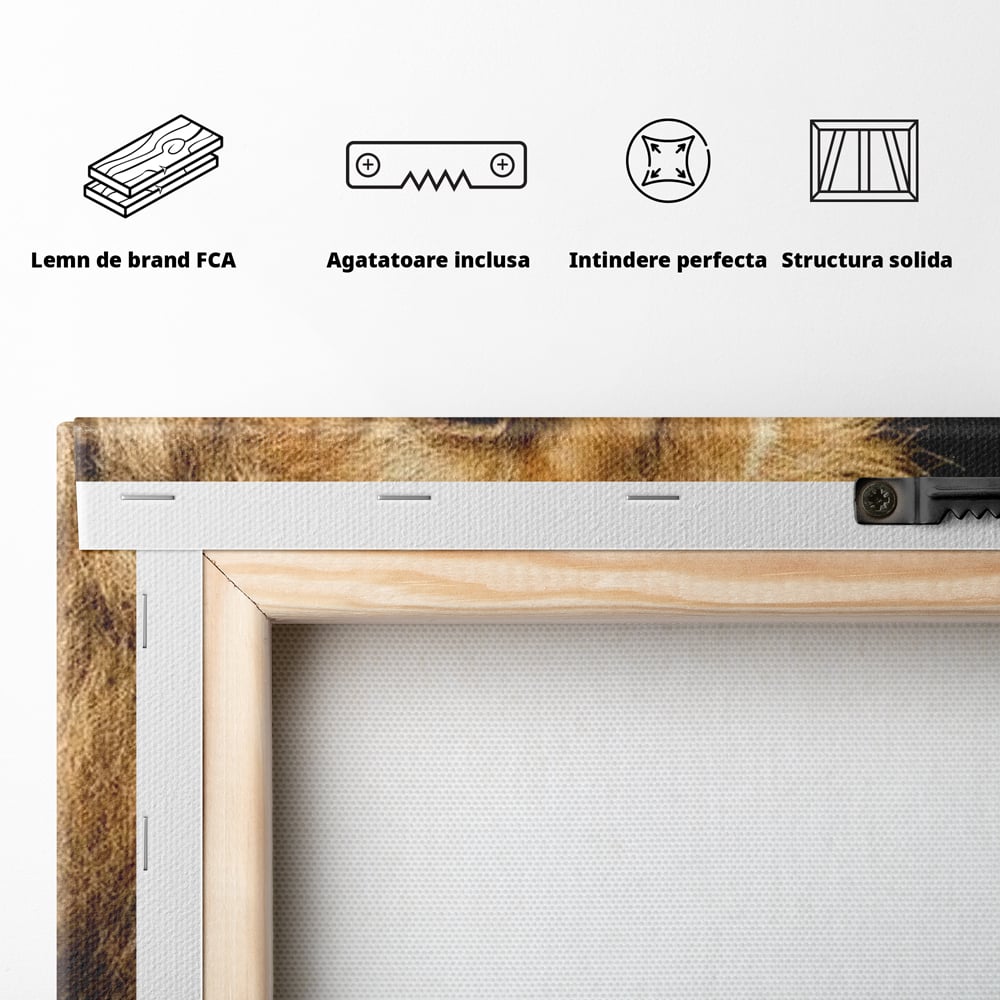 Tablou Canvas Premium, LuxCanva® M1367, Farmec Imperial, Leu, Animal, Rege, Maretie, Intelepciune, Forta, Lumina, Profil, Portret, Viziune, Respect, Birou, Living, Camera Copil