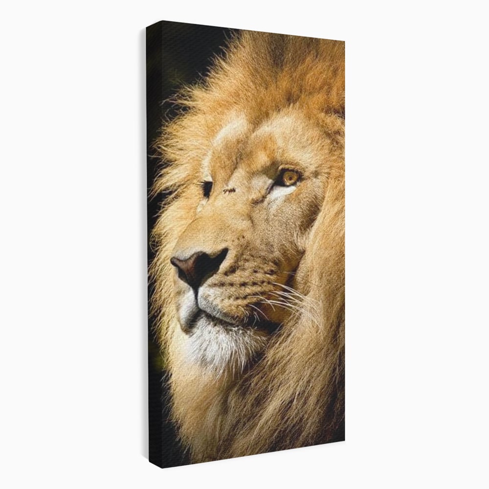 Tablou Canvas Premium, LuxCanva® M1367, Farmec Imperial, Leu, Animal, Rege, Maretie, Intelepciune, Forta, Lumina, Profil, Portret, Viziune, Respect, Birou, Living, Camera Copil