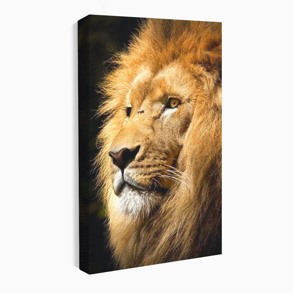 Tablou Canvas Premium, LuxCanva® M1367, Farmec Imperial, Leu, Animal, Rege, Maretie, Intelepciune, Forta, Lumina, Profil, Portret, Viziune, Respect, Birou, Living, Camera Copil
