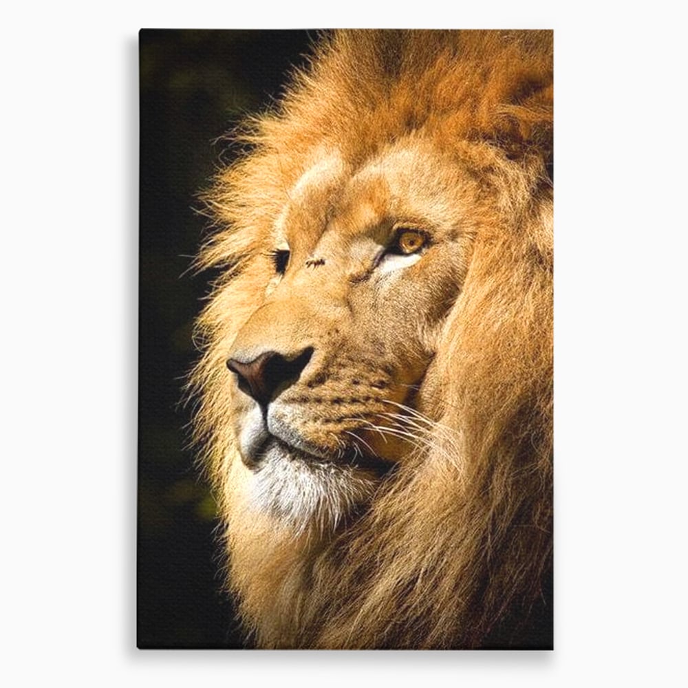 Tablou Canvas Premium, LuxCanva® M1367, Farmec Imperial, Leu, Animal, Rege, Maretie, Intelepciune, Forta, Lumina, Profil, Portret, Viziune, Respect, Birou, Living, Camera Copil
