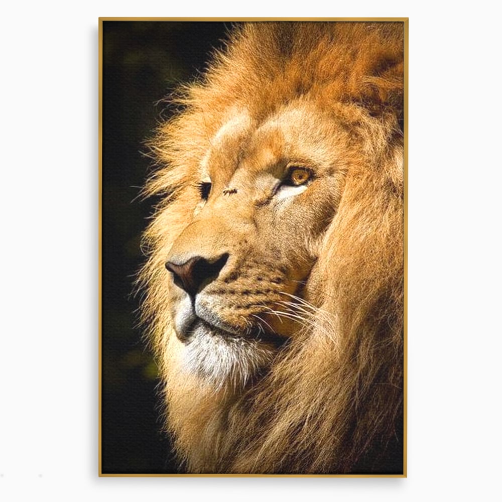 Tablou Canvas Premium, LuxCanva® M1367, Farmec Imperial, Leu, Animal, Rege, Maretie, Intelepciune, Forta, Lumina, Profil, Portret, Viziune, Respect, Birou, Living, Camera Copil