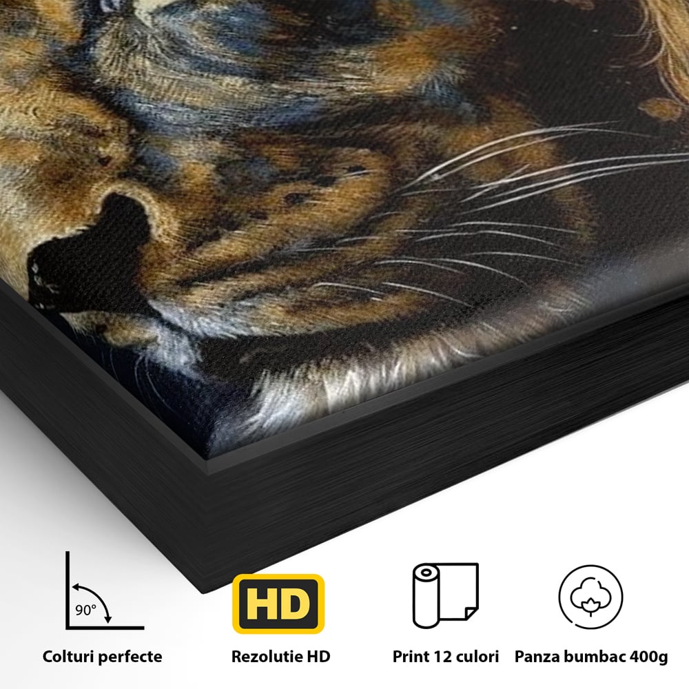 Leinwand Wandkunst Canvas Premium, LuxCanva® M1368, Thron der Nacht, Nacht, Kosmisch, Mysterium, Abgrund, Universum, Astral, Löwe, König, Meditation, Traum, Büro, Wohnen, Kinderzimmer