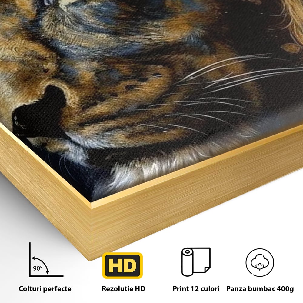 Leinwand Wandkunst Canvas Premium, LuxCanva® M1368, Thron der Nacht, Nacht, Kosmisch, Mysterium, Abgrund, Universum, Astral, Löwe, König, Meditation, Traum, Büro, Wohnen, Kinderzimmer