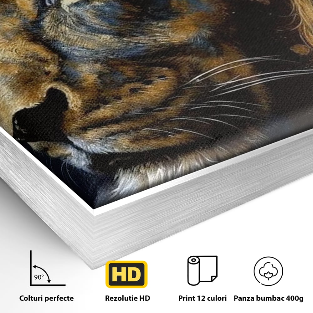 Leinwand Wandkunst Canvas Premium, LuxCanva® M1368, Thron der Nacht, Nacht, Kosmisch, Mysterium, Abgrund, Universum, Astral, Löwe, König, Meditation, Traum, Büro, Wohnen, Kinderzimmer