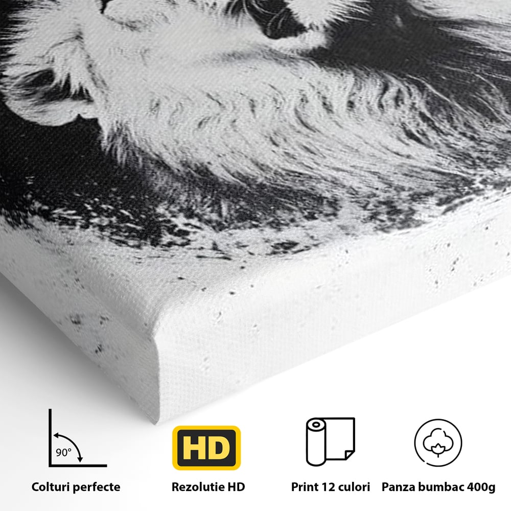 Leinwand Wandkunst Canvas Premium, LuxCanva® M1370, Himmelfahrt in Schwarz und Weiß, Astral, Orbit, Löwe, Portal, Kosmos, Kreis, Universum, Unendlichkeit, Abstrakte Kunst, Büro, Wohnen, Kinderzimmer