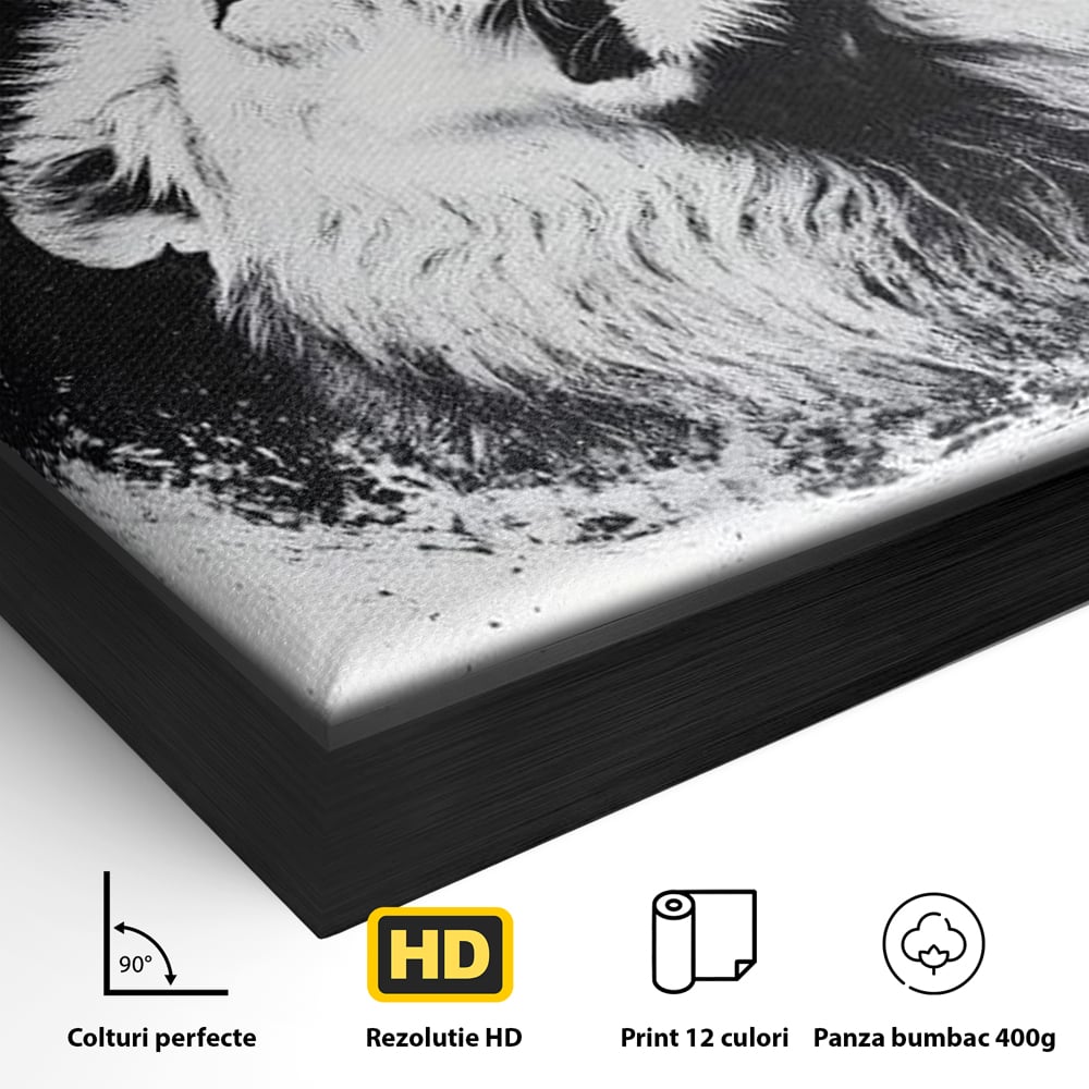 Leinwand Wandkunst Canvas Premium, LuxCanva® M1370, Himmelfahrt in Schwarz und Weiß, Astral, Orbit, Löwe, Portal, Kosmos, Kreis, Universum, Unendlichkeit, Abstrakte Kunst, Büro, Wohnen, Kinderzimmer