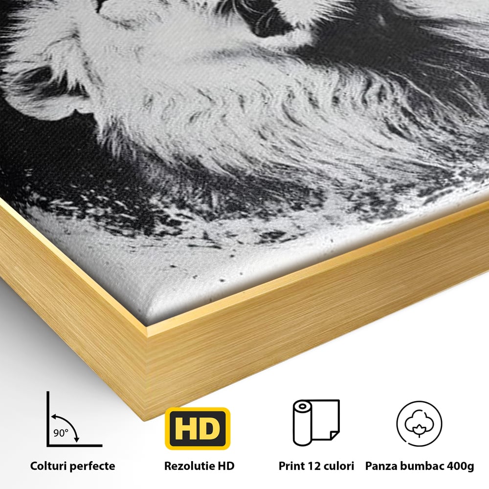 Leinwand Wandkunst Canvas Premium, LuxCanva® M1370, Himmelfahrt in Schwarz und Weiß, Astral, Orbit, Löwe, Portal, Kosmos, Kreis, Universum, Unendlichkeit, Abstrakte Kunst, Büro, Wohnen, Kinderzimmer