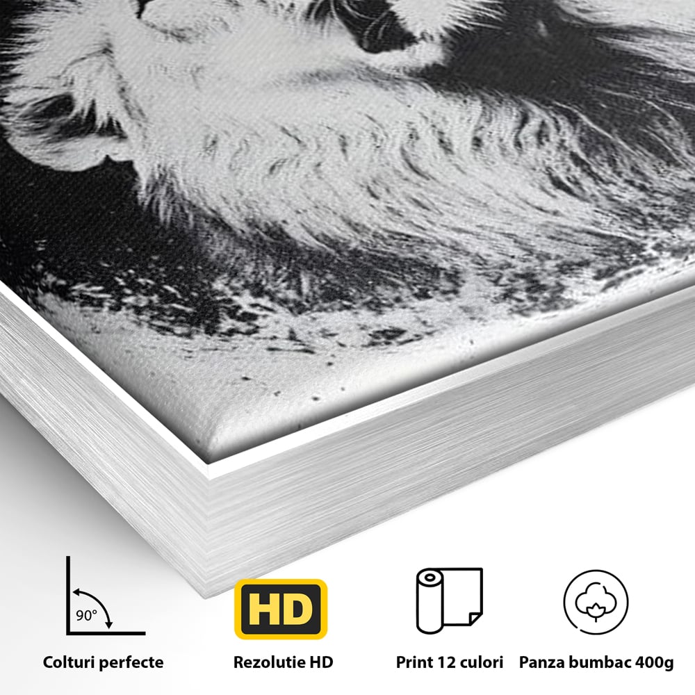 Leinwand Wandkunst Canvas Premium, LuxCanva® M1370, Himmelfahrt in Schwarz und Weiß, Astral, Orbit, Löwe, Portal, Kosmos, Kreis, Universum, Unendlichkeit, Abstrakte Kunst, Büro, Wohnen, Kinderzimmer