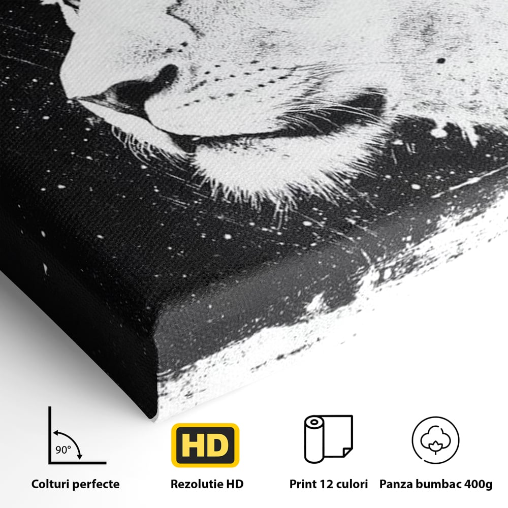 Premium-Leinwandkunst, LuxCanva® M1371, Königin des Dschungels, Löwin, Schwarz-Weiß, Malerei, Abstrakt, Abstrakt, Portrait, Profil, Vision, Reinheit, Edel, Büro, Wohnen, Kinderzimmer