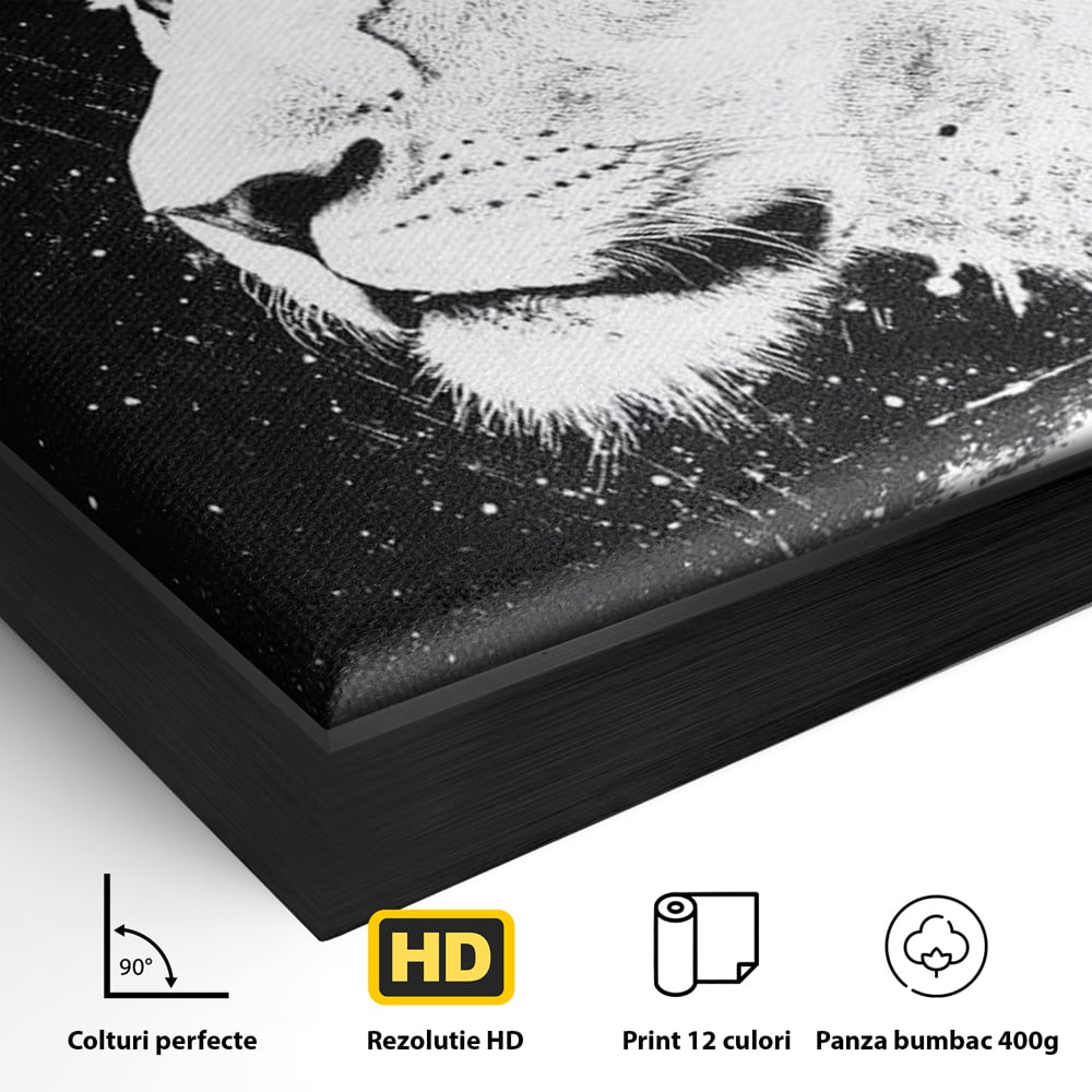 Premium-Leinwandkunst, LuxCanva® M1371, Königin des Dschungels, Löwin, Schwarz-Weiß, Malerei, Abstrakt, Abstrakt, Portrait, Profil, Vision, Reinheit, Edel, Büro, Wohnen, Kinderzimmer