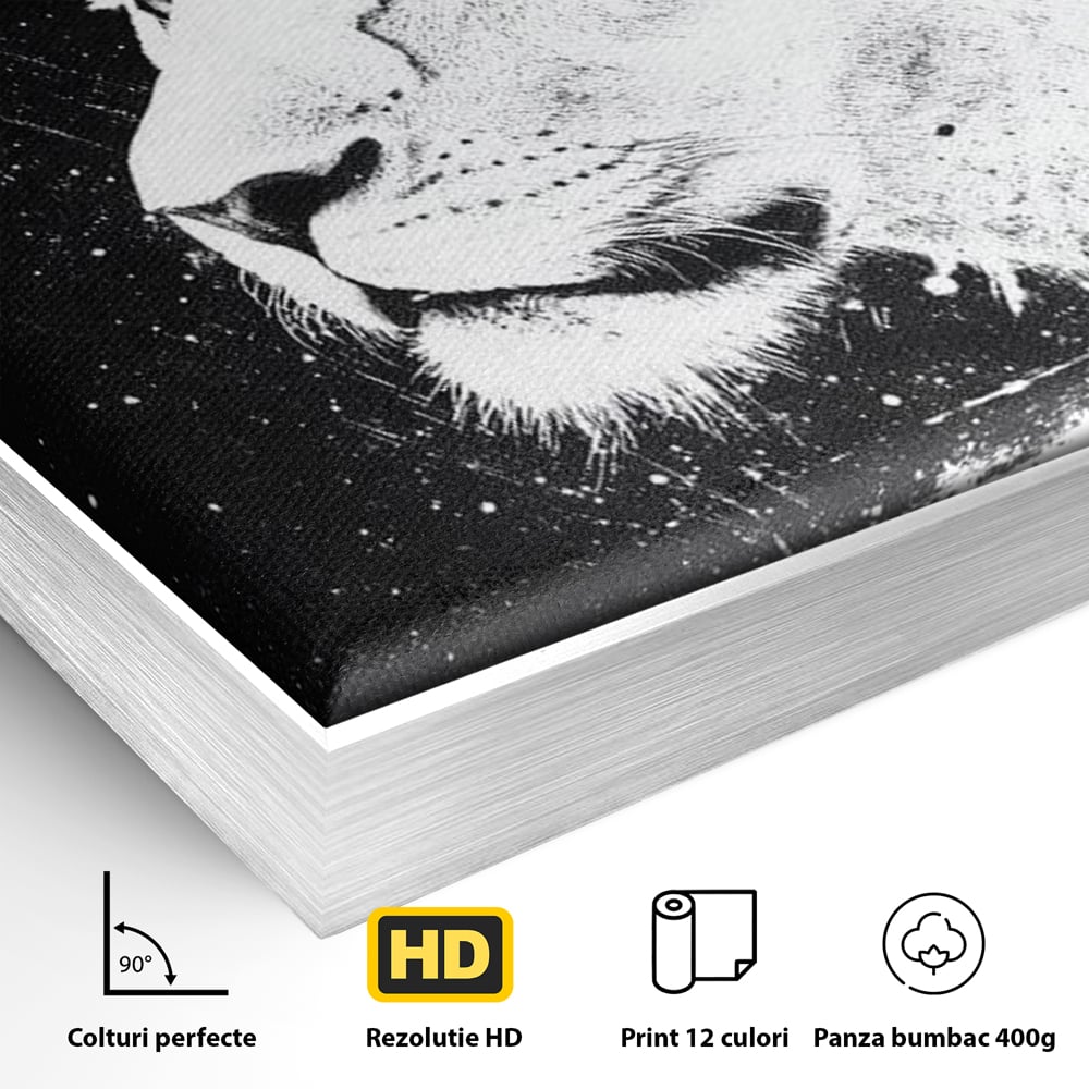 Premium-Leinwandkunst, LuxCanva® M1371, Königin des Dschungels, Löwin, Schwarz-Weiß, Malerei, Abstrakt, Abstrakt, Portrait, Profil, Vision, Reinheit, Edel, Büro, Wohnen, Kinderzimmer