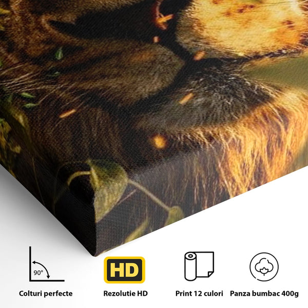 Tablou Canvas Premium, LuxCanva® M1374, Imparatul din Frunze, Natura, Jungla, Frunzis, Camuflaj, Vanator, Animal, Leu, Rege, Privire, Birou, Living, Camera Copil