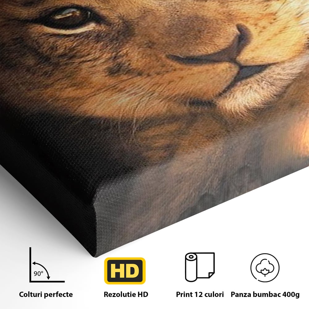 Leinwandbilder Premium, LuxCanva® M1377, Kleiner König, Erbe, Dynastie, Huhn, Löwe, Unschuld, Kindheit, Portrait, Licht, Sonnenaufgang, Büro, Wohnen, Kinderzimmer