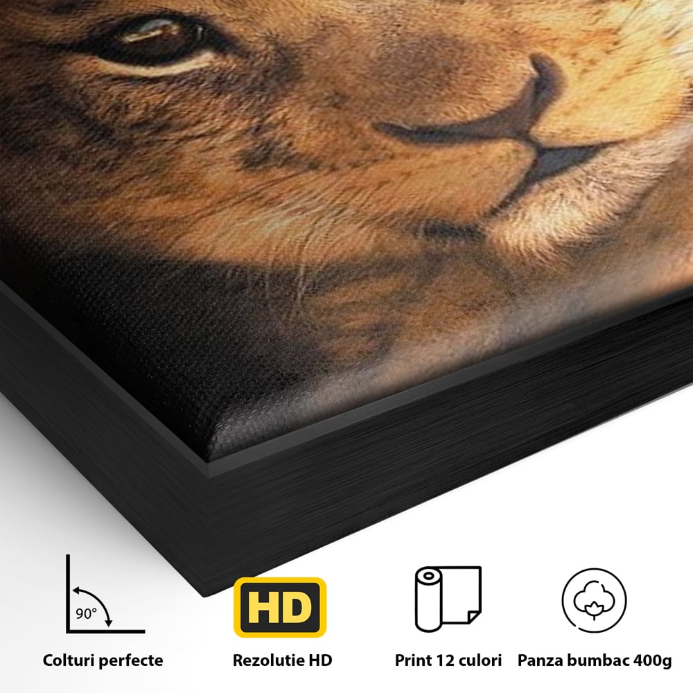 Leinwandbilder Premium, LuxCanva® M1377, Kleiner König, Erbe, Dynastie, Huhn, Löwe, Unschuld, Kindheit, Portrait, Licht, Sonnenaufgang, Büro, Wohnen, Kinderzimmer