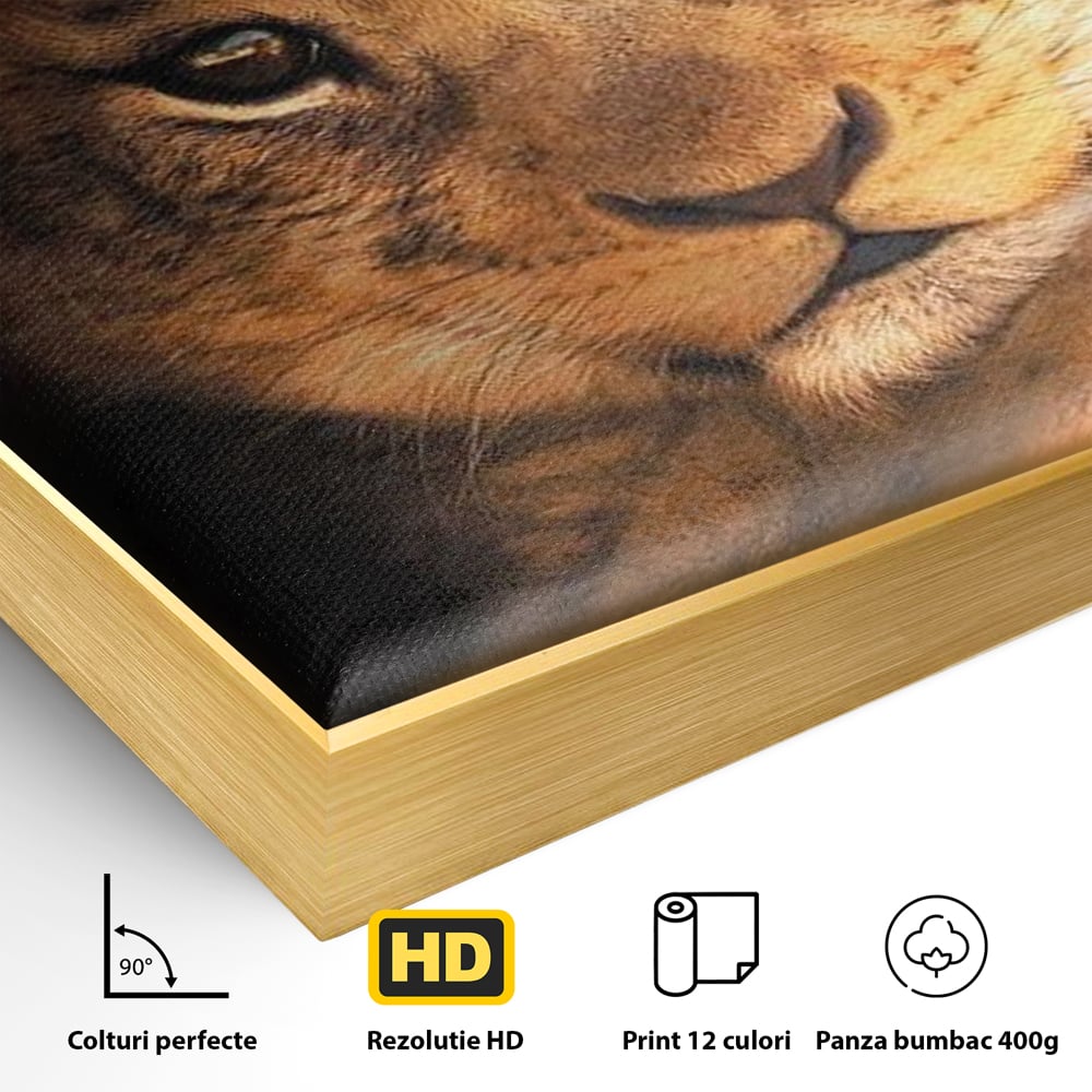 Leinwandbilder Premium, LuxCanva® M1377, Kleiner König, Erbe, Dynastie, Huhn, Löwe, Unschuld, Kindheit, Portrait, Licht, Sonnenaufgang, Büro, Wohnen, Kinderzimmer