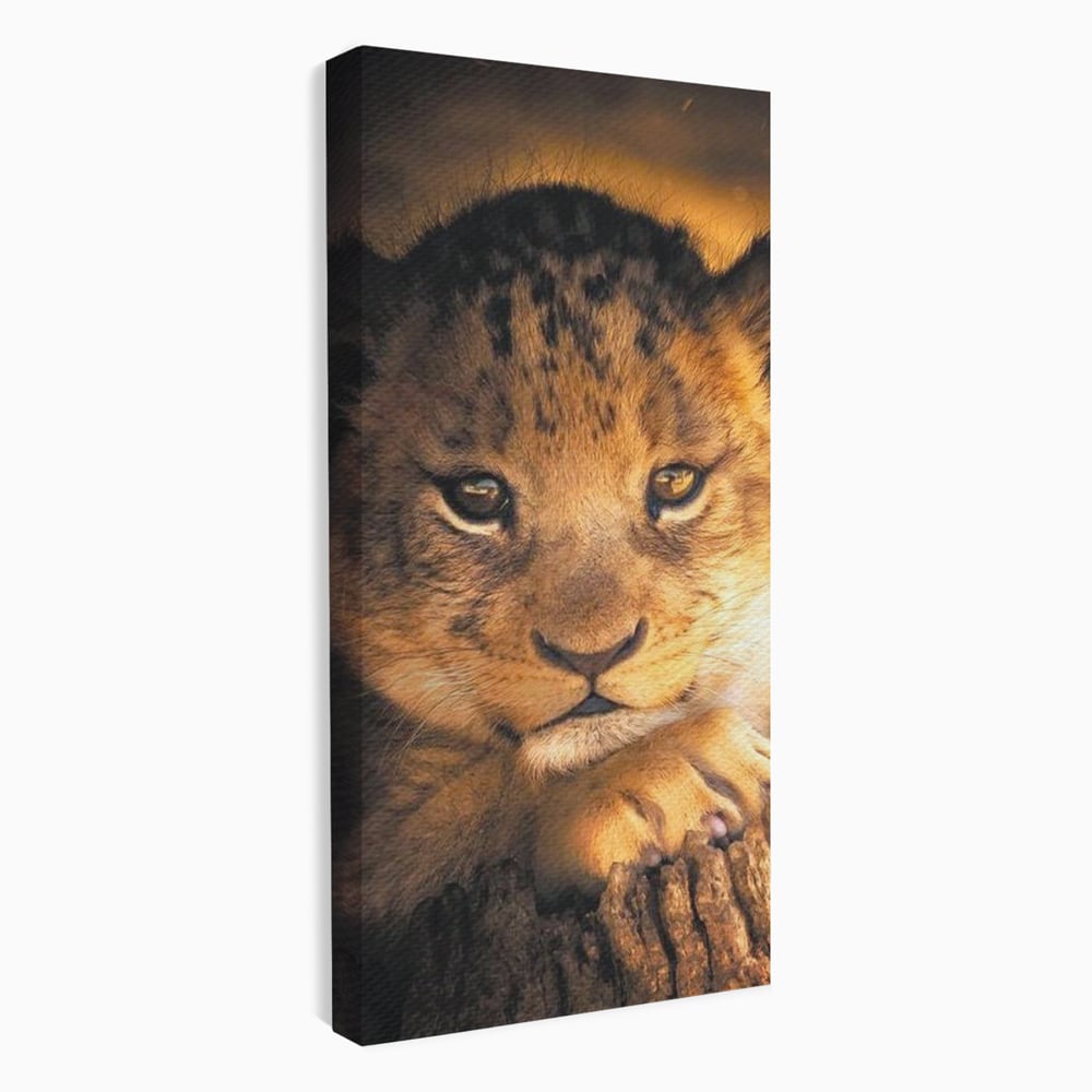 Leinwandbilder Premium, LuxCanva® M1377, Kleiner König, Erbe, Dynastie, Huhn, Löwe, Unschuld, Kindheit, Portrait, Licht, Sonnenaufgang, Büro, Wohnen, Kinderzimmer