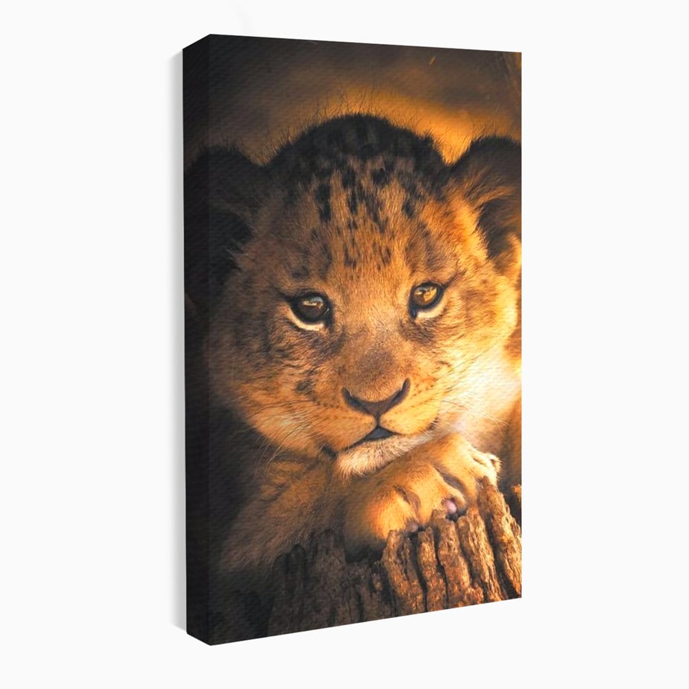 Leinwandbilder Premium, LuxCanva® M1377, Kleiner König, Erbe, Dynastie, Huhn, Löwe, Unschuld, Kindheit, Portrait, Licht, Sonnenaufgang, Büro, Wohnen, Kinderzimmer