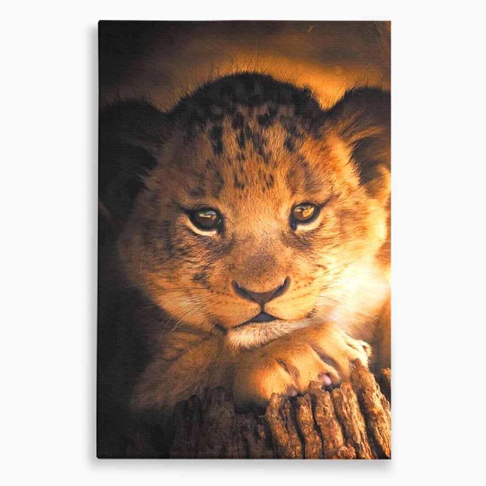 Leinwandbilder Premium, LuxCanva® M1377, Kleiner König, Erbe, Dynastie, Huhn, Löwe, Unschuld, Kindheit, Portrait, Licht, Sonnenaufgang, Büro, Wohnen, Kinderzimmer