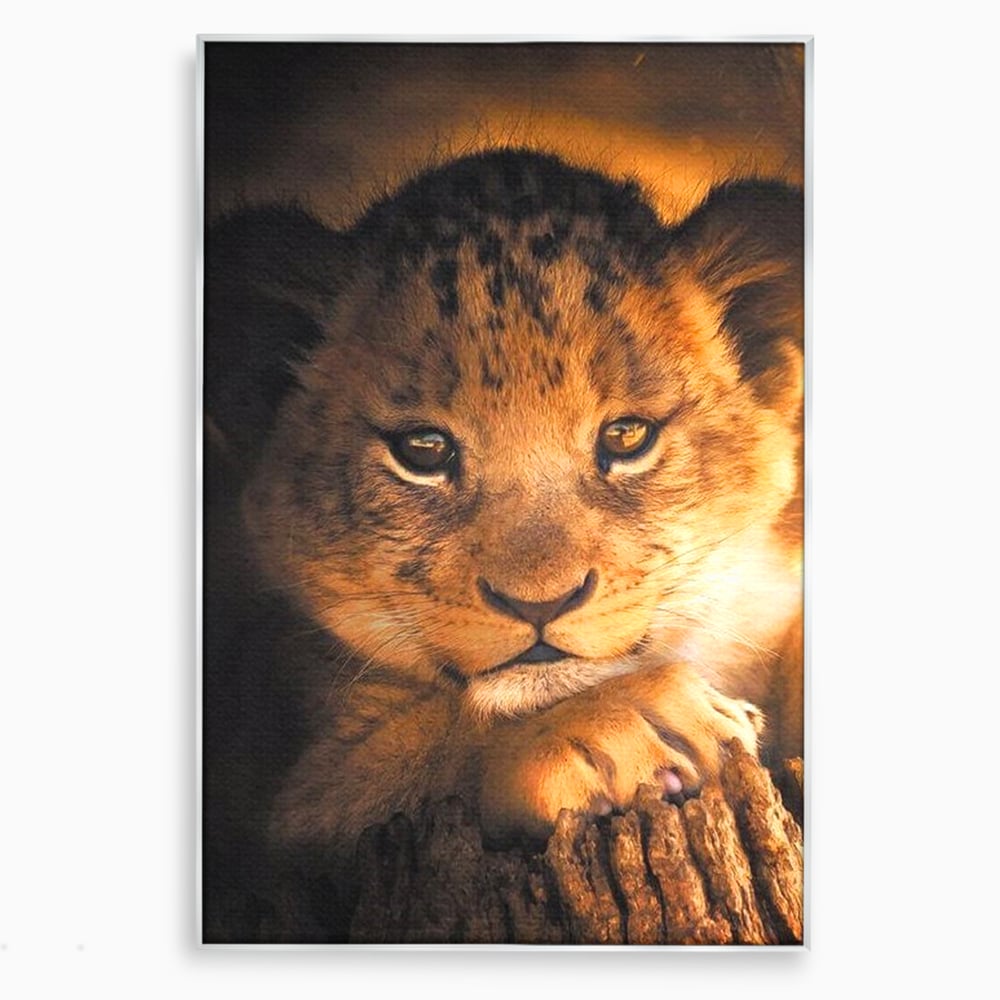 Leinwandbilder Premium, LuxCanva® M1377, Kleiner König, Erbe, Dynastie, Huhn, Löwe, Unschuld, Kindheit, Portrait, Licht, Sonnenaufgang, Büro, Wohnen, Kinderzimmer