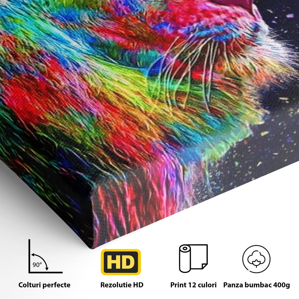 Tablou Canvas Premium, LuxCanva® M1380, Puls de Culoare, Intunecat, Stele, Infinit, Univers, Artistic, Leu, Animal, Profil, Multicolor, Birou, Living, Camera Copil