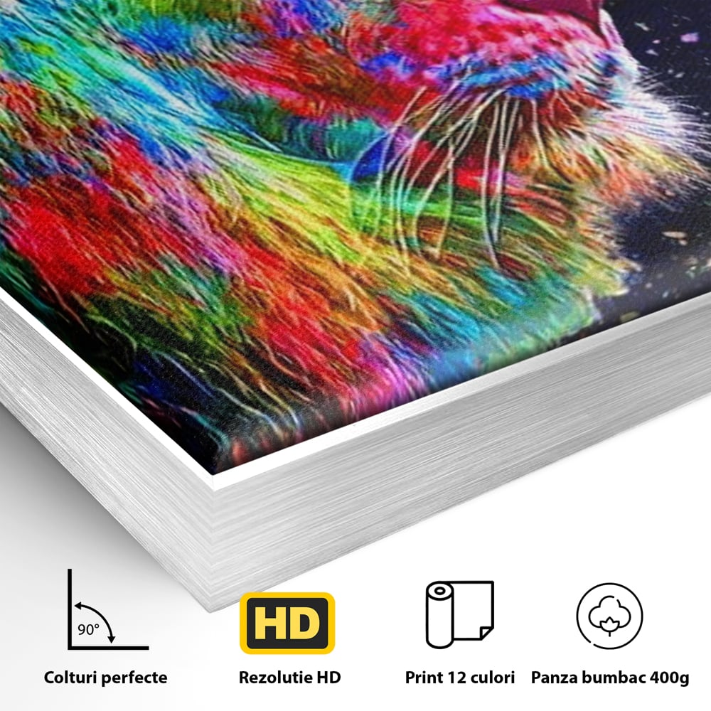 Tablou Canvas Premium, LuxCanva® M1380, Puls de Culoare, Intunecat, Stele, Infinit, Univers, Artistic, Leu, Animal, Profil, Multicolor, Birou, Living, Camera Copil