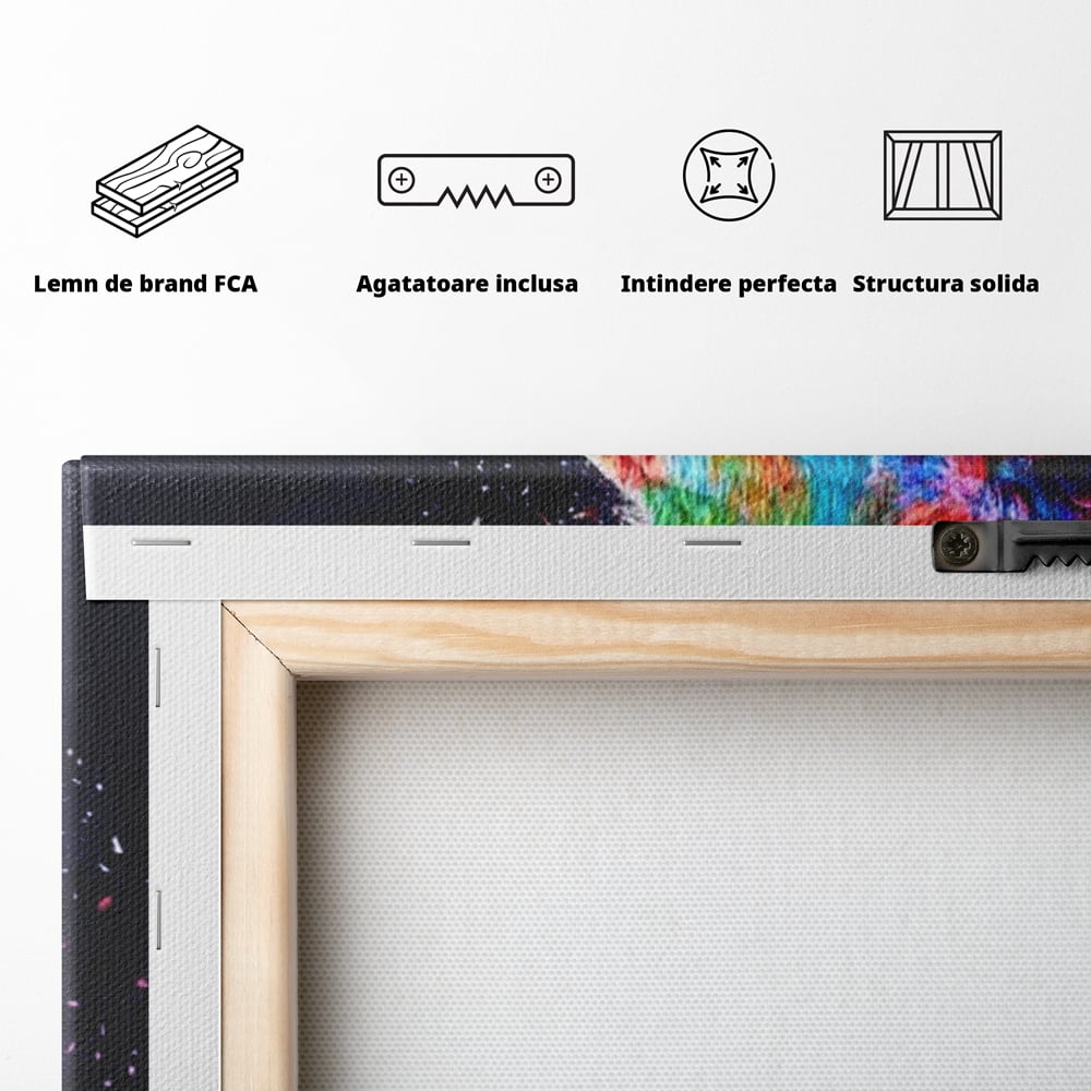 Tablou Canvas Premium, LuxCanva® M1380, Puls de Culoare, Intunecat, Stele, Infinit, Univers, Artistic, Leu, Animal, Profil, Multicolor, Birou, Living, Camera Copil
