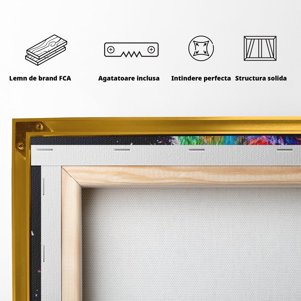 Tablou Canvas Premium, LuxCanva® M1380, Puls de Culoare, Intunecat, Stele, Infinit, Univers, Artistic, Leu, Animal, Profil, Multicolor, Birou, Living, Camera Copil