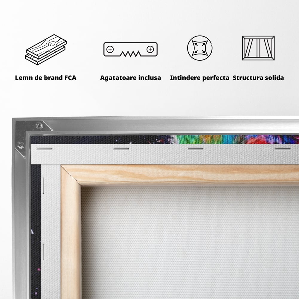 Tablou Canvas Premium, LuxCanva® M1380, Puls de Culoare, Intunecat, Stele, Infinit, Univers, Artistic, Leu, Animal, Profil, Multicolor, Birou, Living, Camera Copil