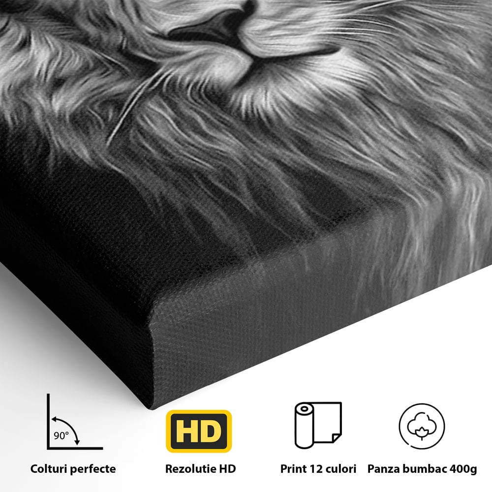 Tablou Canvas Premium, LuxCanva® M1382, Regele Intunericului, Leu, Animale, Salbatic, Portret, Chip, Monocrom, Alb si Negru, Mister, Abstract, Birou, Living, Camera Copil
