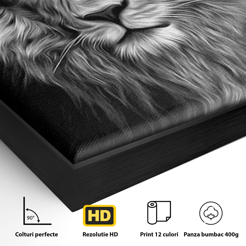 Tablou Canvas Premium, LuxCanva® M1382, Regele Intunericului, Leu, Animale, Salbatic, Portret, Chip, Monocrom, Alb si Negru, Mister, Abstract, Birou, Living, Camera Copil