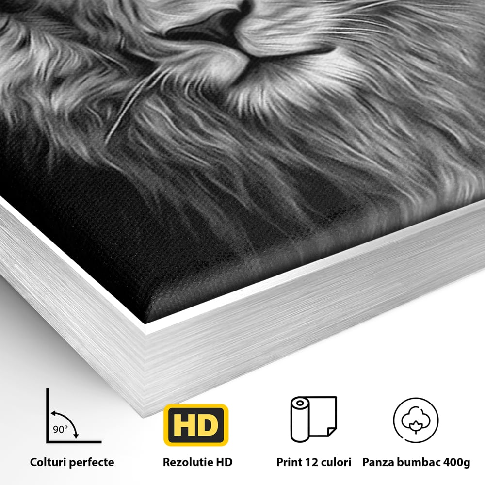 Tablou Canvas Premium, LuxCanva® M1382, Regele Intunericului, Leu, Animale, Salbatic, Portret, Chip, Monocrom, Alb si Negru, Mister, Abstract, Birou, Living, Camera Copil