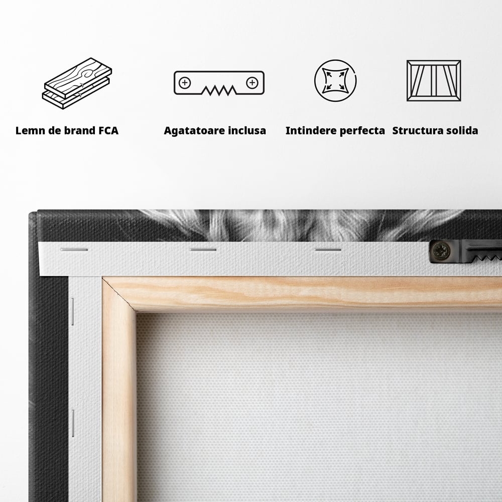 Tablou Canvas Premium, LuxCanva® M1382, Regele Intunericului, Leu, Animale, Salbatic, Portret, Chip, Monocrom, Alb si Negru, Mister, Abstract, Birou, Living, Camera Copil