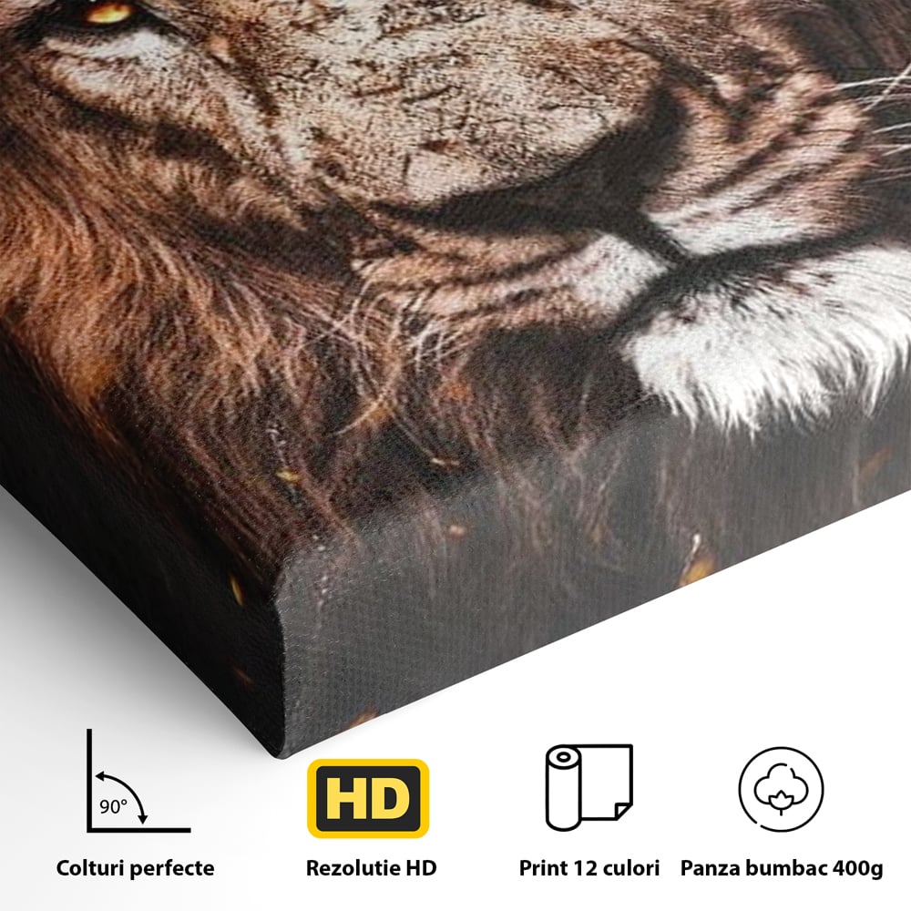 Leinwandbilder Premium, LuxCanva® M1383, Verborgene Absicht, Blick, Feuer, Dunkelheit, Geheimnis, Stärke, Flut, Ahnen, Wild, Tier, Löwe, König des Dschungels, Büro, Wohnen, Kinderzimmer