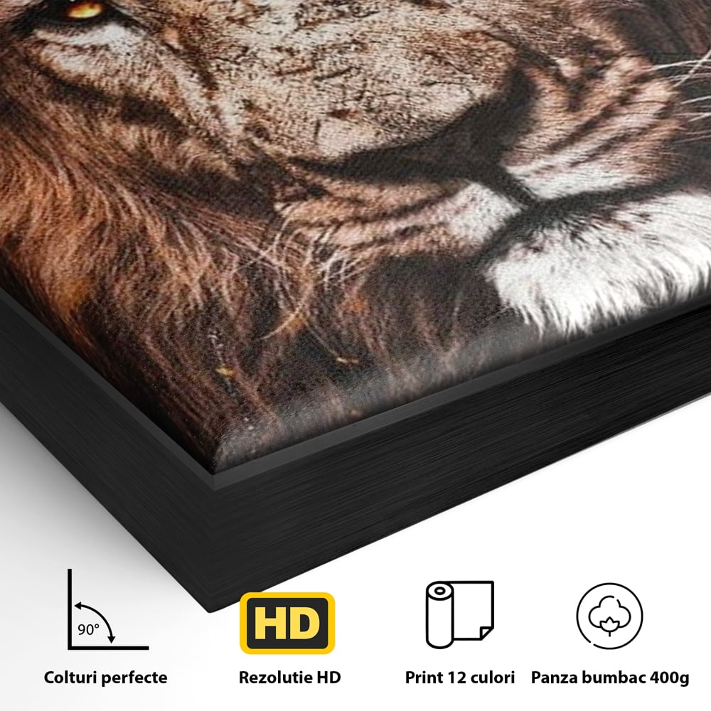 Leinwandbilder Premium, LuxCanva® M1383, Verborgene Absicht, Blick, Feuer, Dunkelheit, Geheimnis, Stärke, Flut, Ahnen, Wild, Tier, Löwe, König des Dschungels, Büro, Wohnen, Kinderzimmer