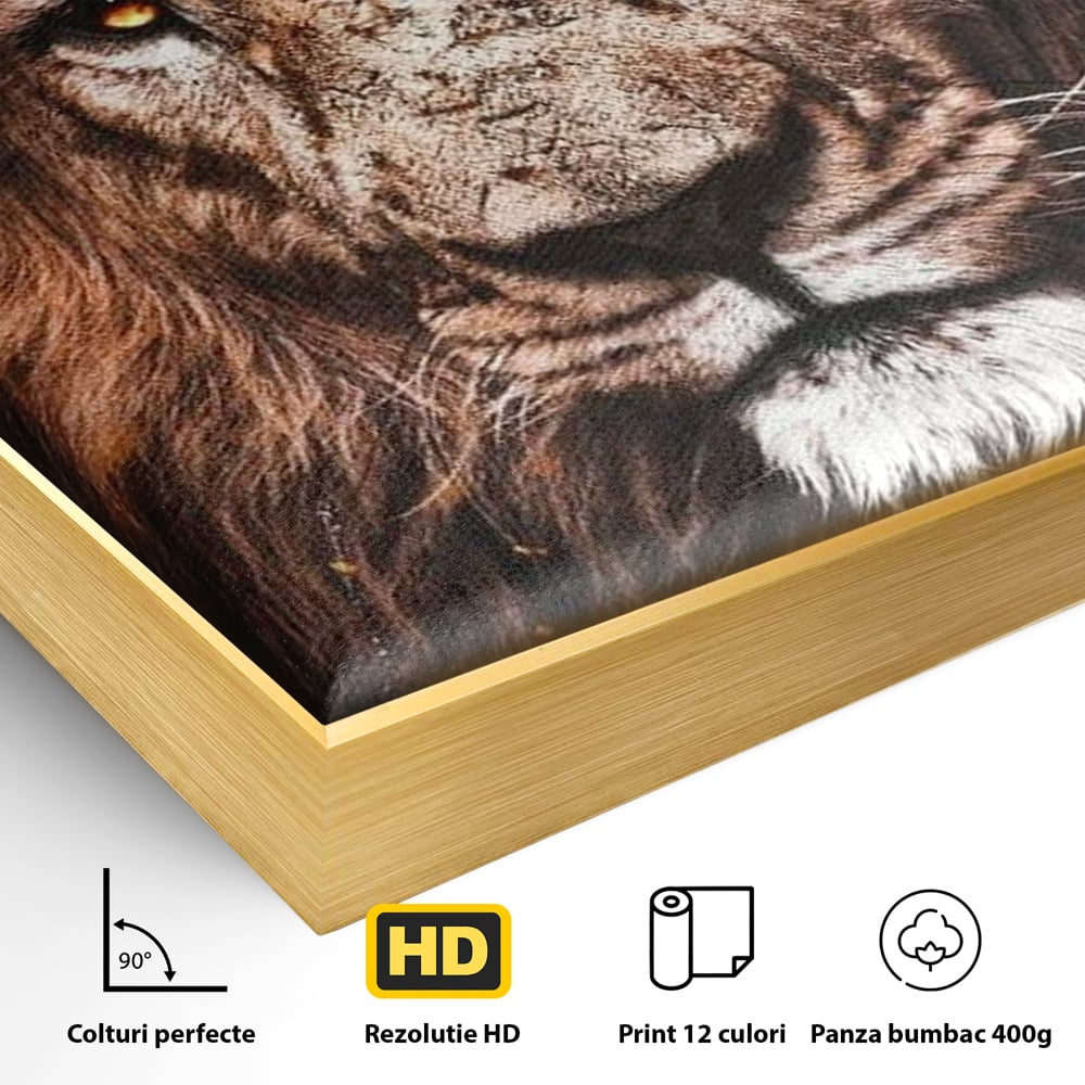 Leinwandbilder Premium, LuxCanva® M1383, Verborgene Absicht, Blick, Feuer, Dunkelheit, Geheimnis, Stärke, Flut, Ahnen, Wild, Tier, Löwe, König des Dschungels, Büro, Wohnen, Kinderzimmer