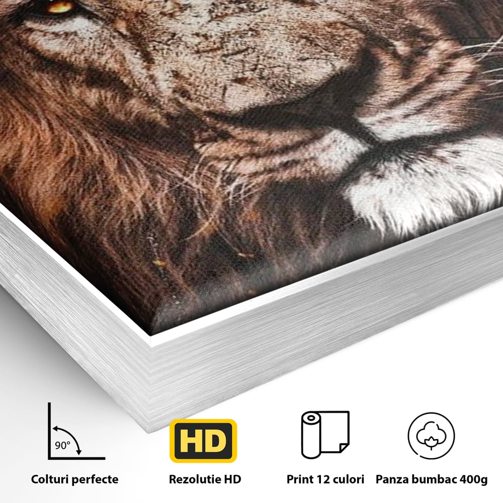 Leinwandbilder Premium, LuxCanva® M1383, Verborgene Absicht, Blick, Feuer, Dunkelheit, Geheimnis, Stärke, Flut, Ahnen, Wild, Tier, Löwe, König des Dschungels, Büro, Wohnen, Kinderzimmer