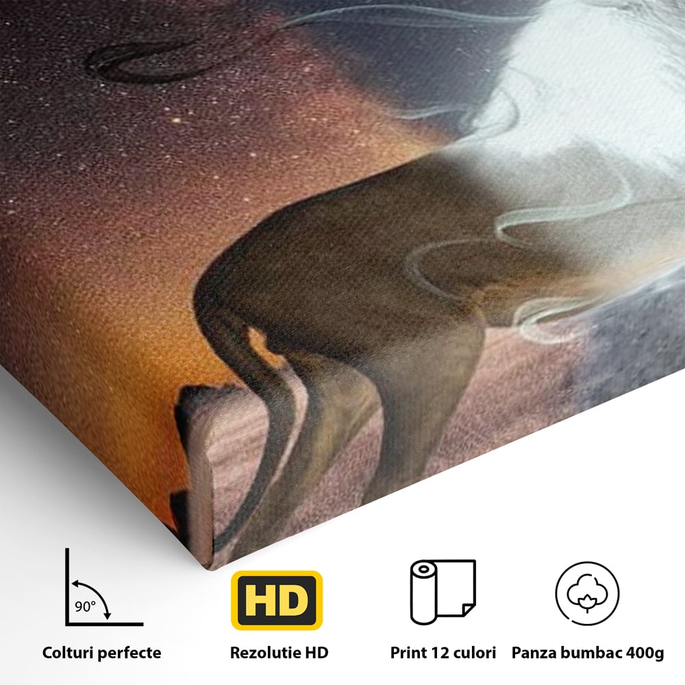 Leinwandbilder Premium, LuxCanva® M1387, Der Ruf des Mondes, Kosmisch, Universum, Sterne, Nacht, Dualität, Licht, Geist, Löwe, Energie, Ätherisch, Büro, Wohnen, Kinderzimmer