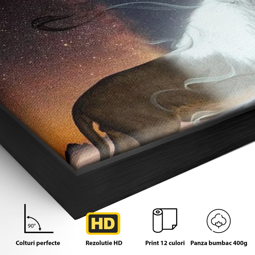 Leinwandbilder Premium, LuxCanva® M1387, Der Ruf des Mondes, Kosmisch, Universum, Sterne, Nacht, Dualität, Licht, Geist, Löwe, Energie, Ätherisch, Büro, Wohnen, Kinderzimmer