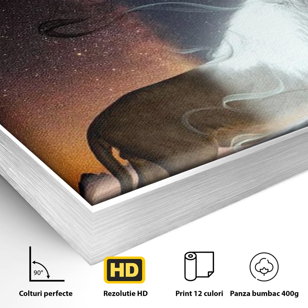 Leinwandbilder Premium, LuxCanva® M1387, Der Ruf des Mondes, Kosmisch, Universum, Sterne, Nacht, Dualität, Licht, Geist, Löwe, Energie, Ätherisch, Büro, Wohnen, Kinderzimmer