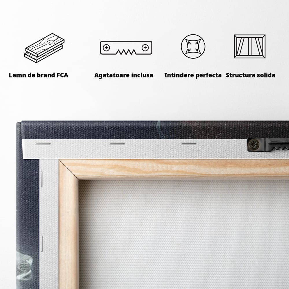 Leinwandbilder Premium, LuxCanva® M1387, Der Ruf des Mondes, Kosmisch, Universum, Sterne, Nacht, Dualität, Licht, Geist, Löwe, Energie, Ätherisch, Büro, Wohnen, Kinderzimmer