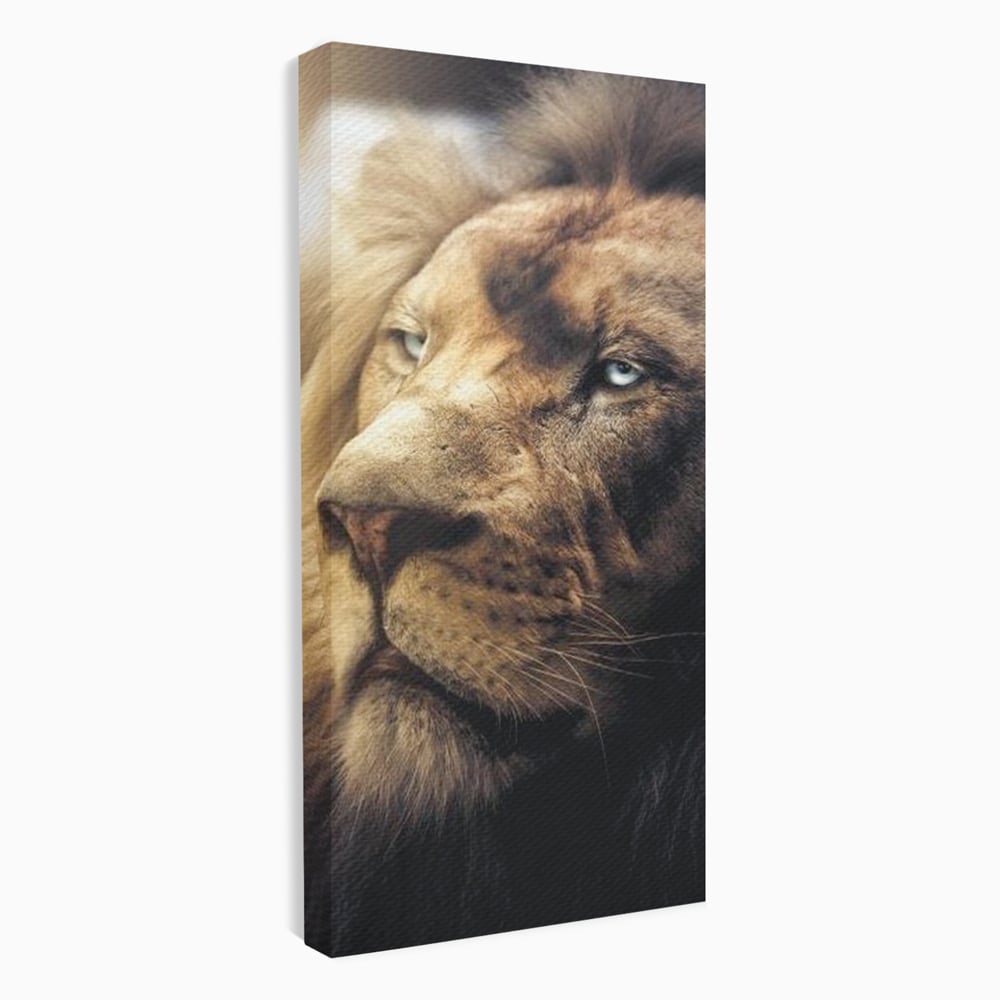 Leinwandbilder Premium, LuxCanva® M1393, Eisblick, Realistisch, Portrait, Gesicht, Dschungel, Geheimnisvoll, Denker, Meditation, Wild, Tier, Löwe, Büro, Wohnen, Kinderzimmer