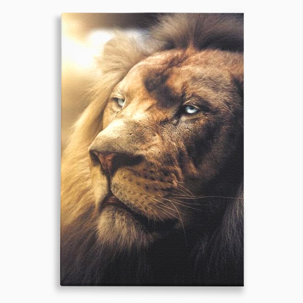 Leinwandbilder Premium, LuxCanva® M1393, Eisblick, Realistisch, Portrait, Gesicht, Dschungel, Geheimnisvoll, Denker, Meditation, Wild, Tier, Löwe, Büro, Wohnen, Kinderzimmer